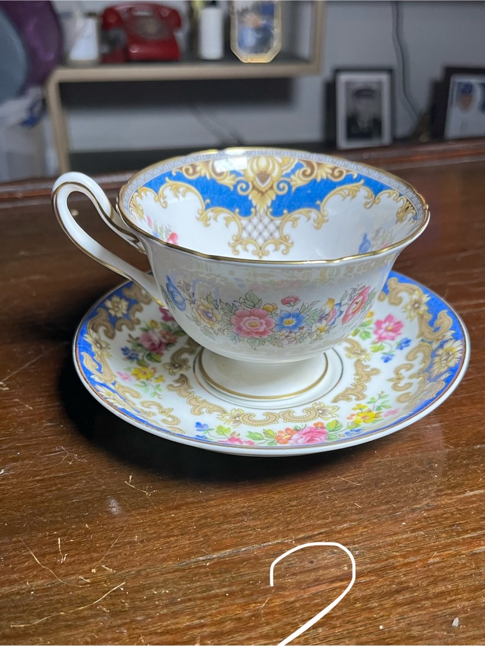 Fine Porcelain Floral Tea Cup & Saucer with Gold Trim